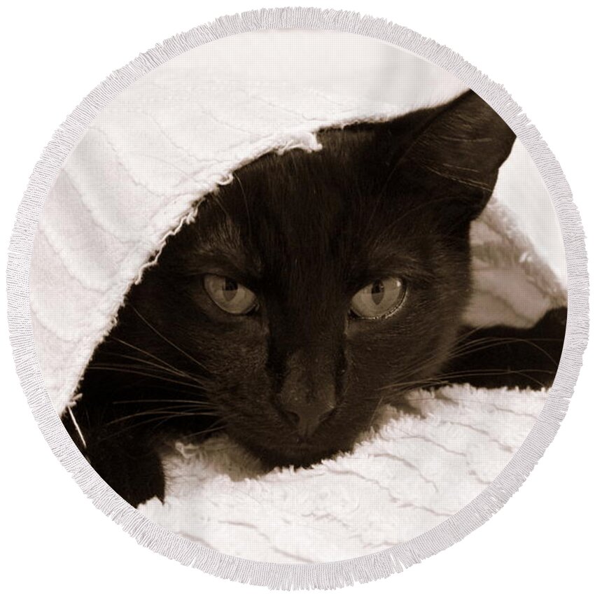 Horizontal Photograph Round Beach Towel featuring the photograph Black Cat in Chenille by Valerie Collins