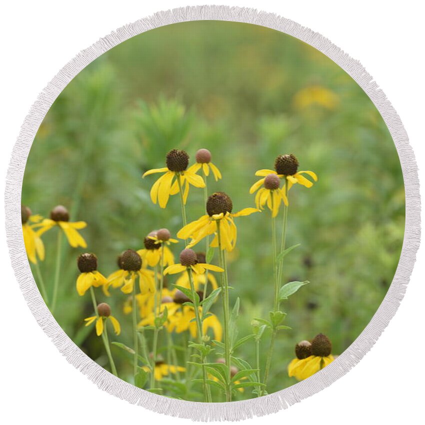 Black-eyed Susans Round Beach Towel featuring the photograph Black-Eyed Susans by Maria Urso