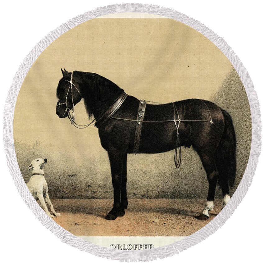 Animal Round Beach Towel featuring the painting Black horse and a white dog by Vincent Monozlay