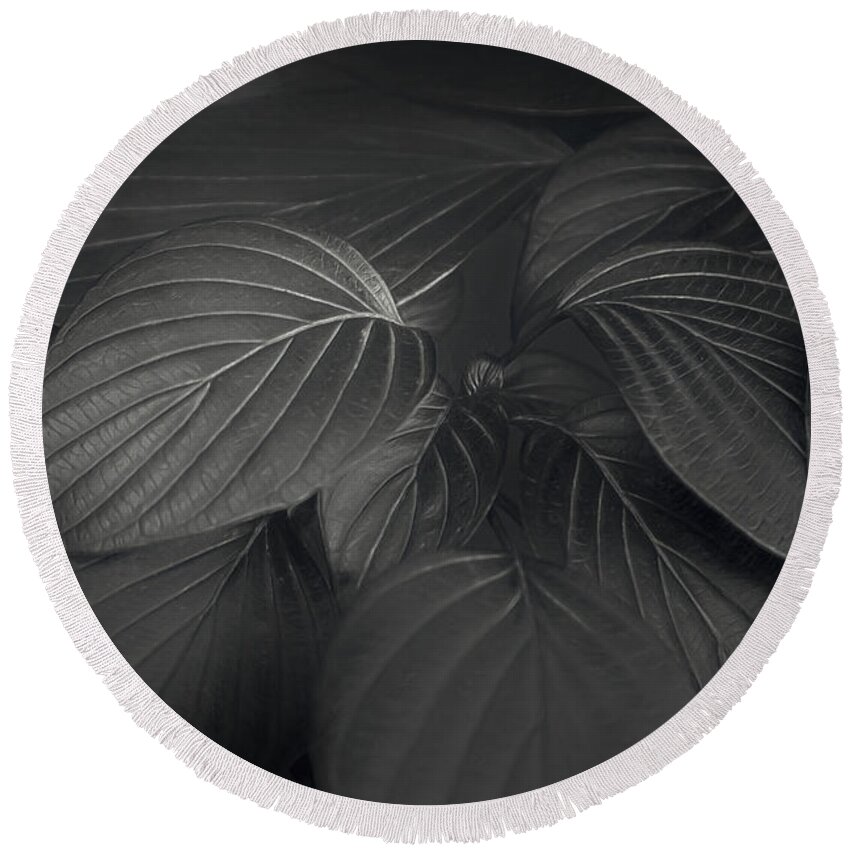 Leaf Round Beach Towel featuring the photograph Black Leaves by Scott Norris