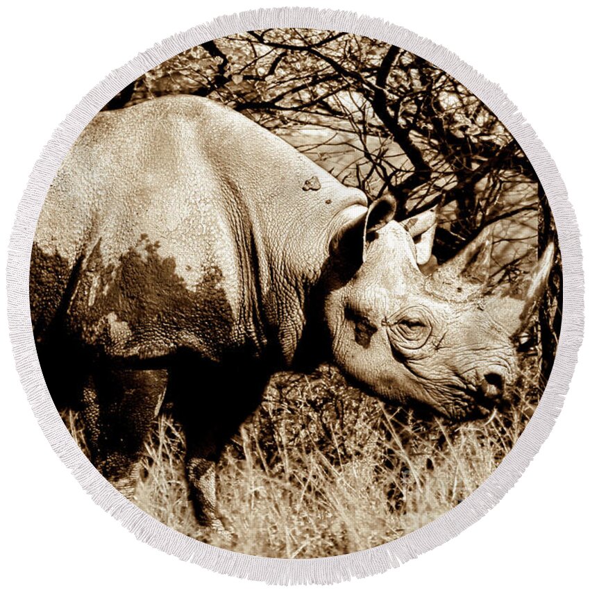 Rhinoceros Round Beach Towel featuring the photograph Black Rhino and youngster by Baggieoldboy