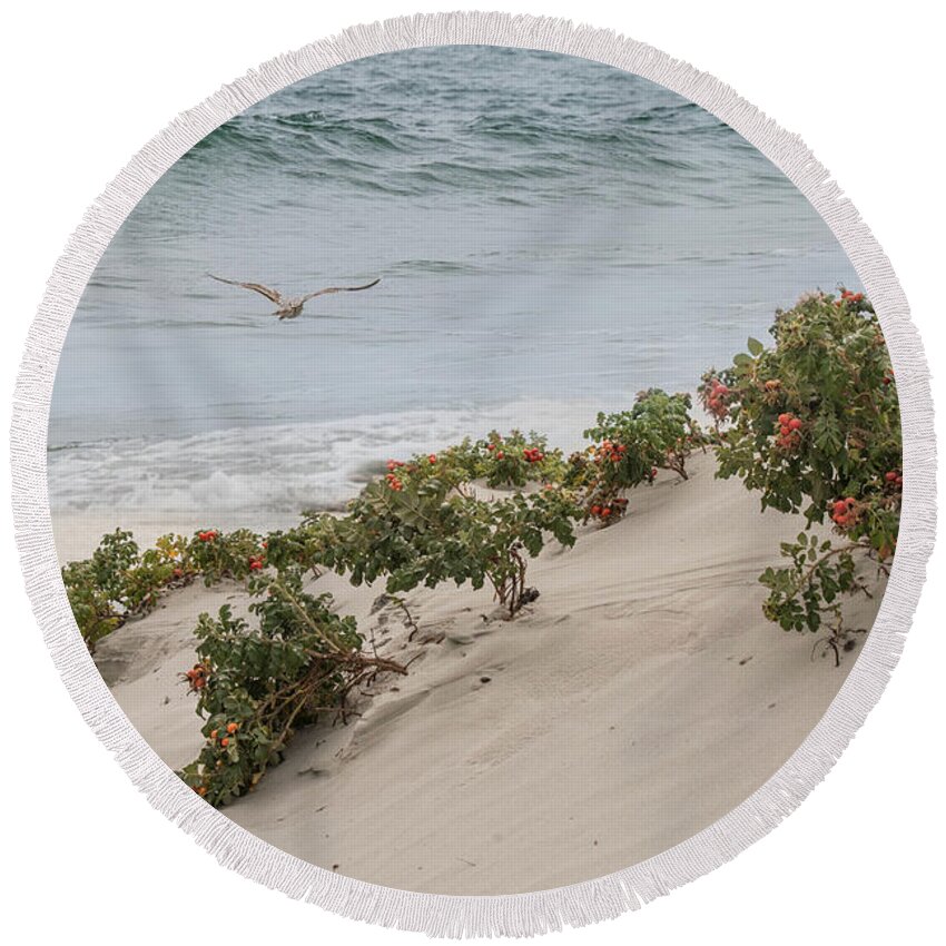 Beach Plumb Round Beach Towel featuring the photograph Bliss on a Breeze by Robin-Lee Vieira