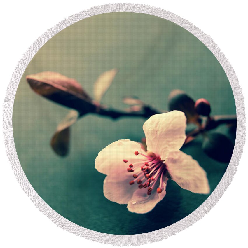 Plum Blossom Round Beach Towel featuring the photograph Blossom by Caitlyn Grasso