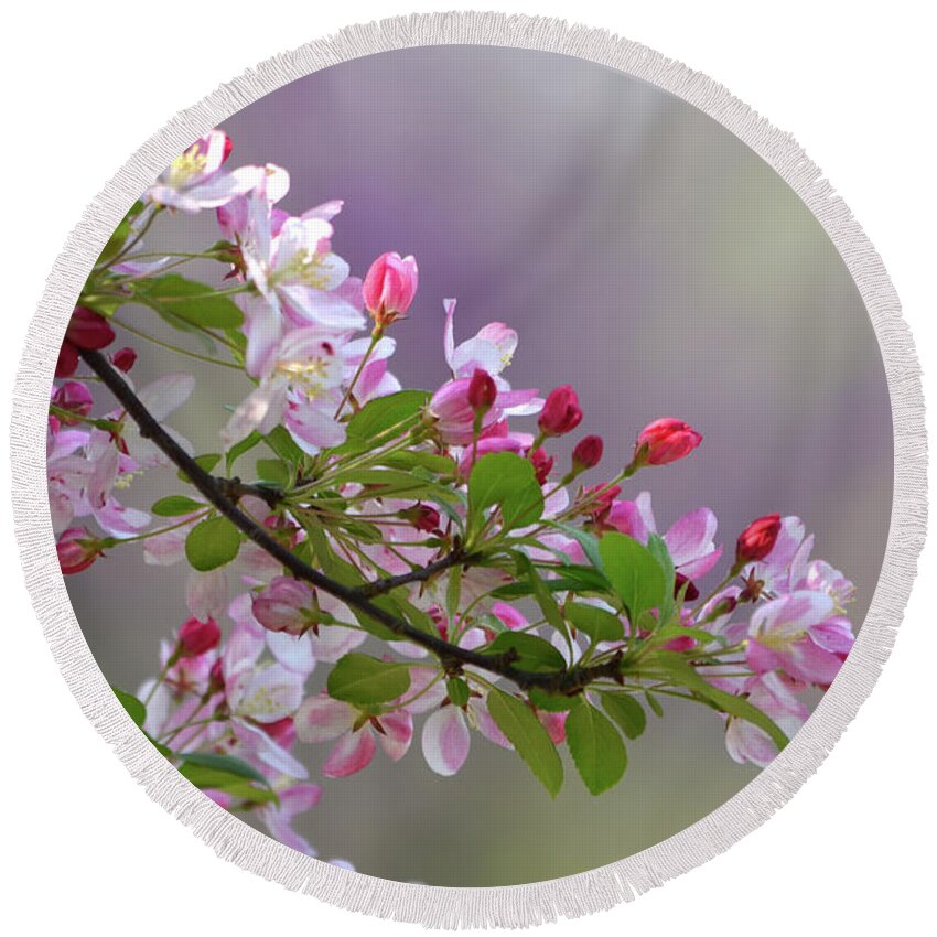 Flower Round Beach Towel featuring the photograph Blossoms and Bokeh by Ann Bridges