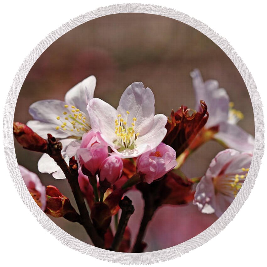 Cherry Blossoms Round Beach Towel featuring the photograph Blossoms Bouquet by Debbie Oppermann
