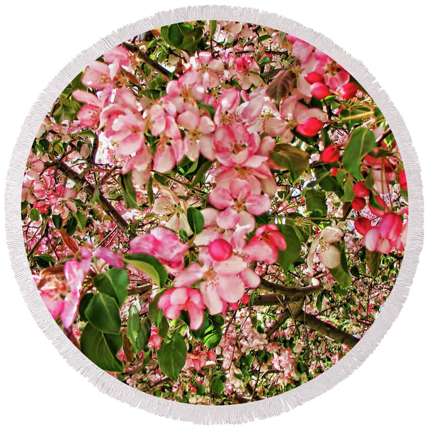 Pink Round Beach Towel featuring the photograph Blossoms by Traci Cottingham