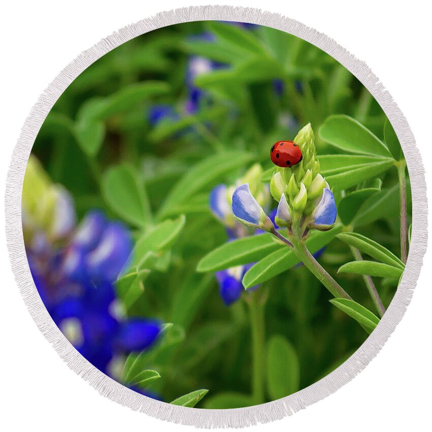 Flowers & Plants Round Beach Towel featuring the photograph Texas Blue Bonnet and Ladybug by Brad Thornton