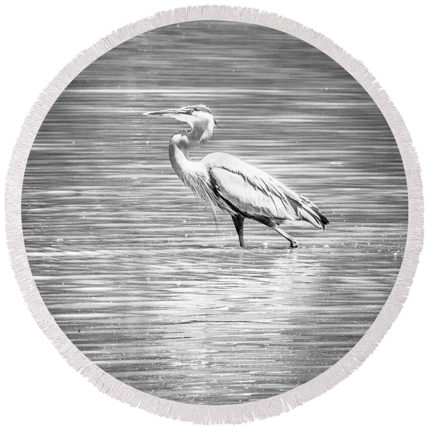 2015 Round Beach Towel featuring the photograph Blue Heron Strut by Wade Brooks