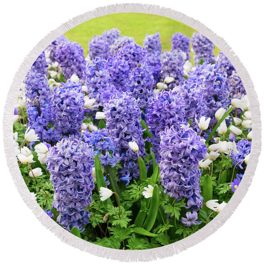Netherlands Round Beach Towel featuring the photograph Blue Hyacinth Flowerbed by Anastasy Yarmolovich
