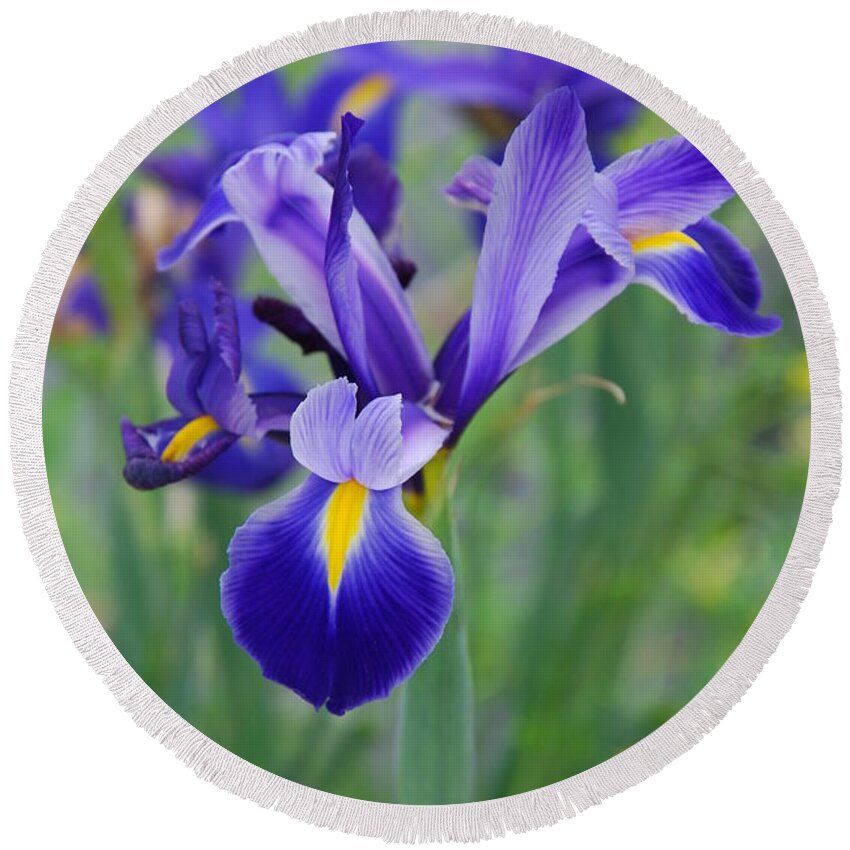 Iris Flower Round Beach Towel featuring the photograph Blue Iris Flower by Susanne Van Hulst
