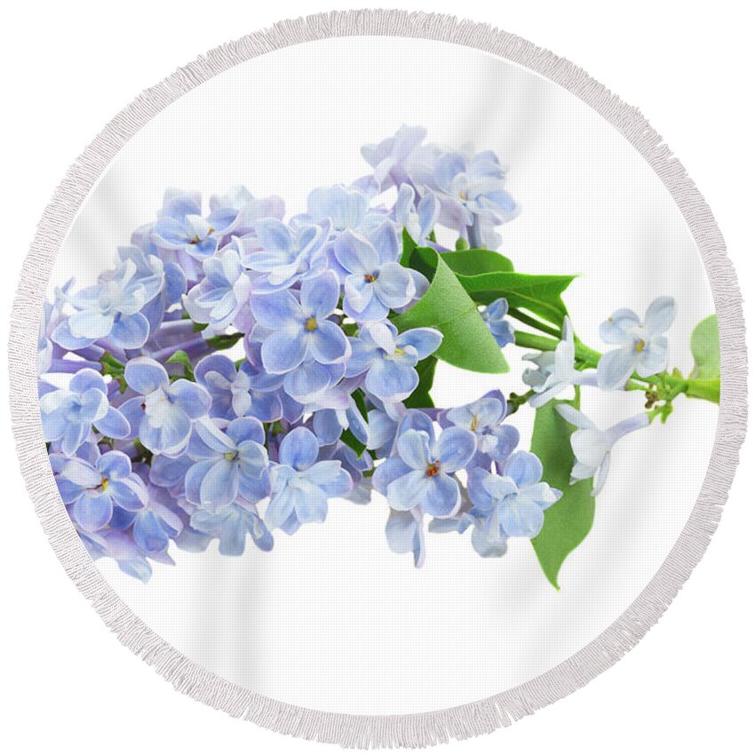 Lilac Round Beach Towel featuring the photograph Blue Lilac by Anastasy Yarmolovich