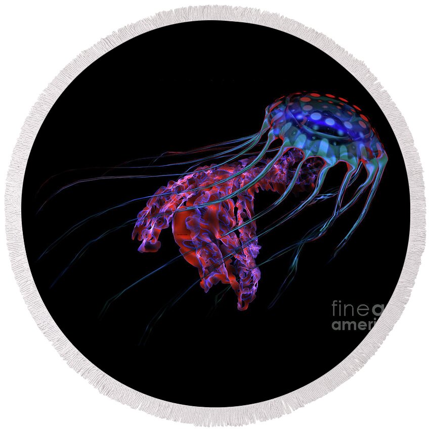 Jellyfish Round Beach Towel featuring the digital art Blue Red Jellyfish on Black by Corey Ford