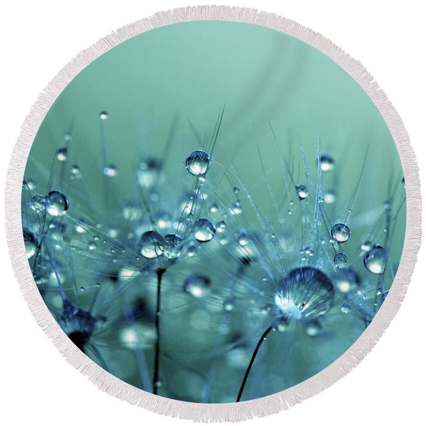 Dandelion Round Beach Towel featuring the photograph Blue Shower by Sharon Johnstone