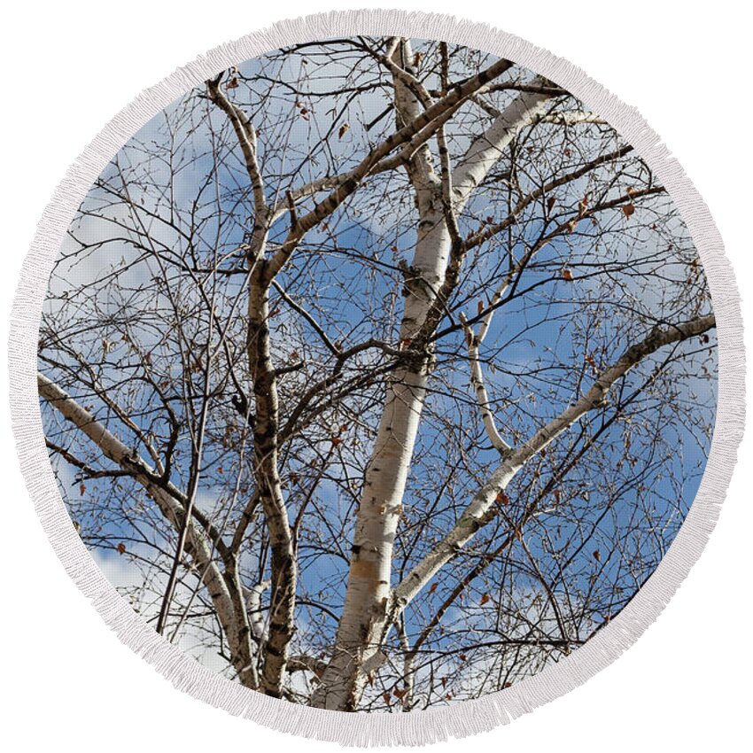 Birch Trees Round Beach Towel featuring the photograph Blue Sky in the Middle - by Julie Weber
