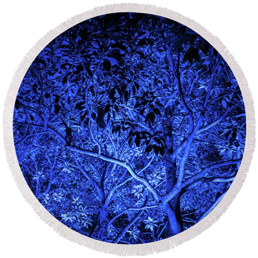 Cairns Round Beach Towel featuring the photograph Blue trees by Jocelyn Kahawai
