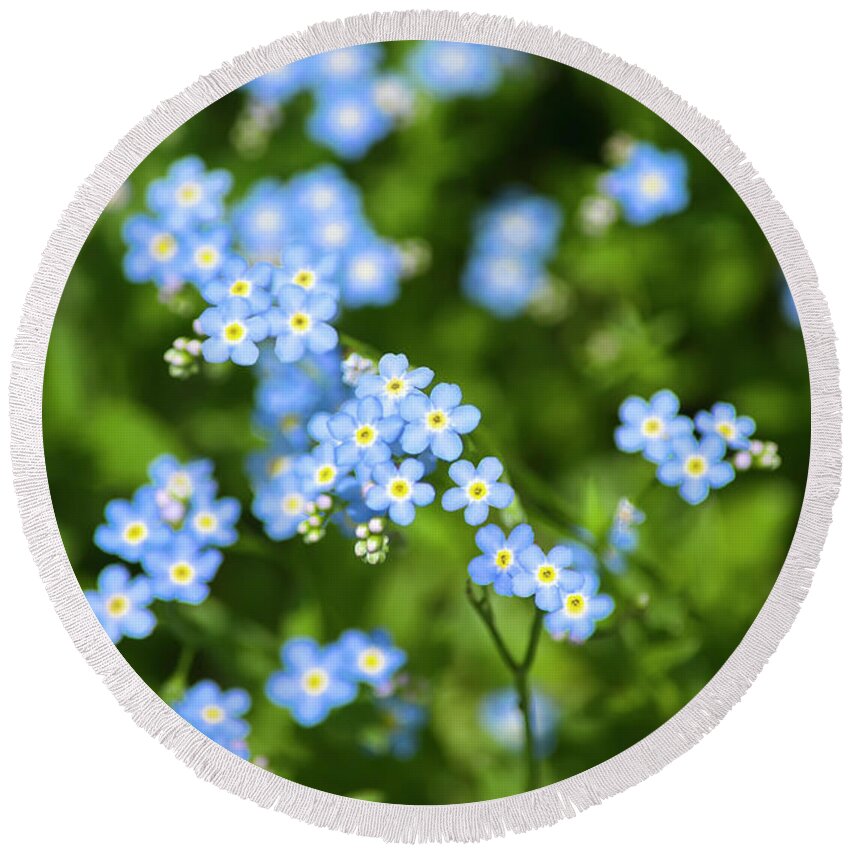 Blue Wildflowers Round Beach Towel featuring the photograph Blue Wildflowers Forget Me Nots by Christina Rollo