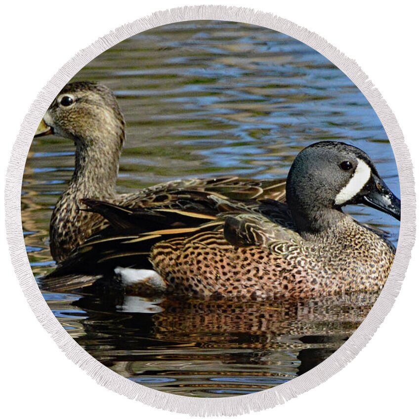 Ducks Round Beach Towel featuring the photograph Blue Winged Teal Pair by Jerry Griffin