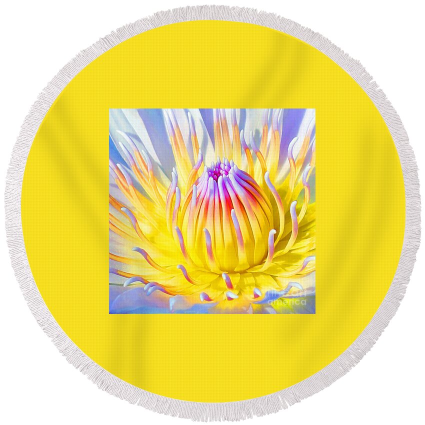  Blue Lotuses Round Beach Towel featuring the photograph Blue Yellow Lily by Jennifer Robin
