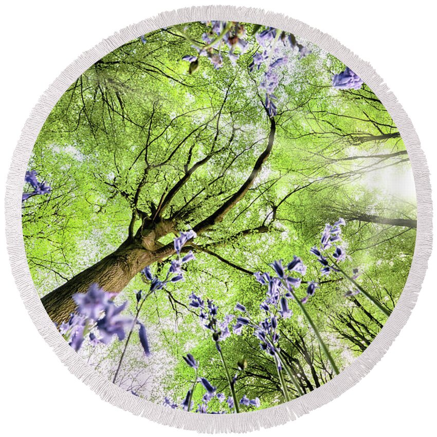 Flowers Round Beach Towel featuring the photograph Bluebells from worms eye view by Simon Bratt