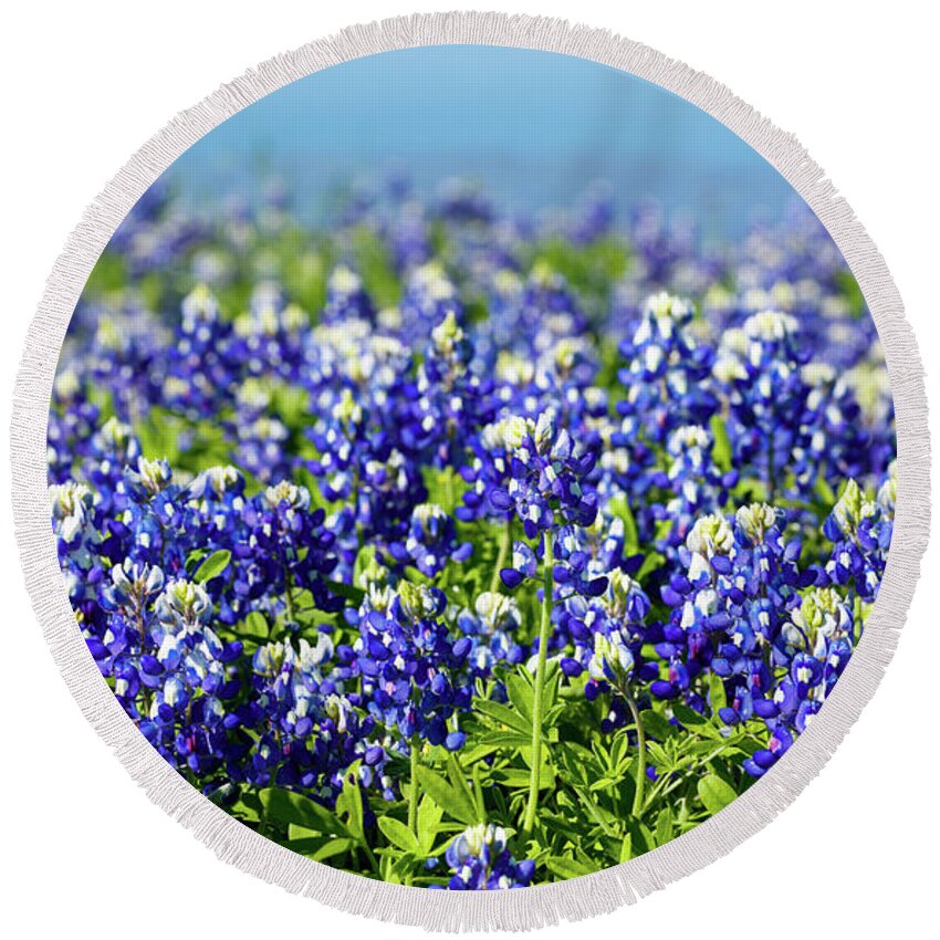 Austin Round Beach Towel featuring the photograph Bluebonnets by Raul Rodriguez