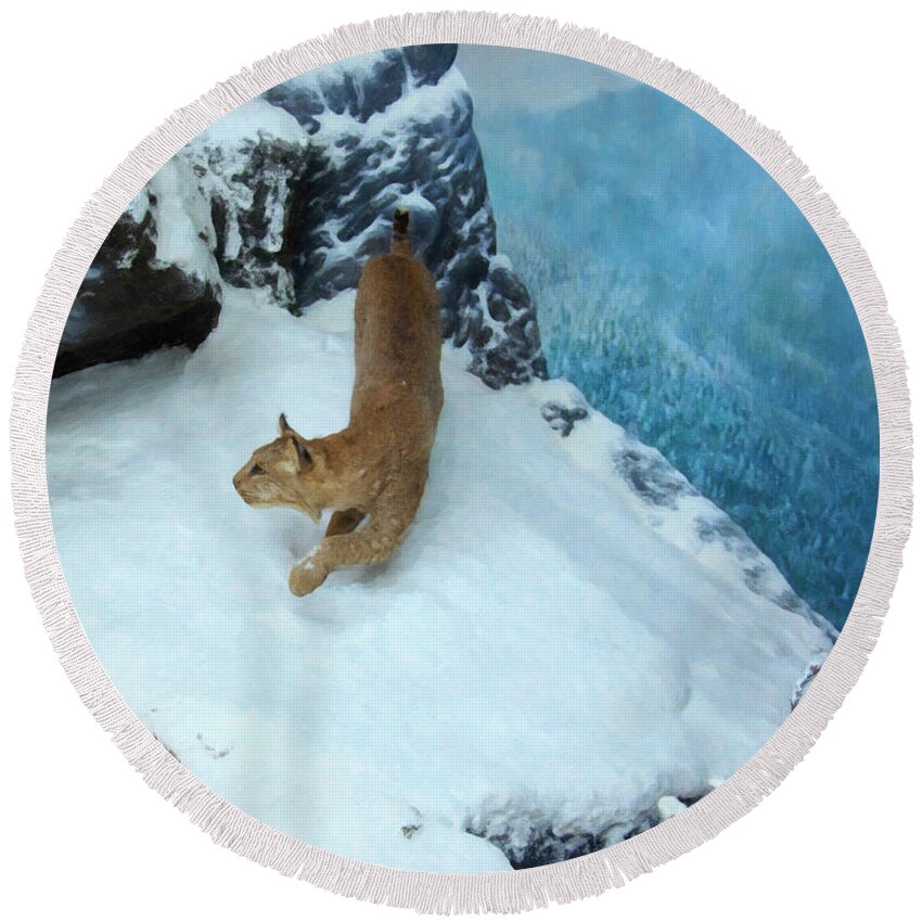 Bobcat Round Beach Towel featuring the digital art Bobcat on a mountain ledge by Flees Photos