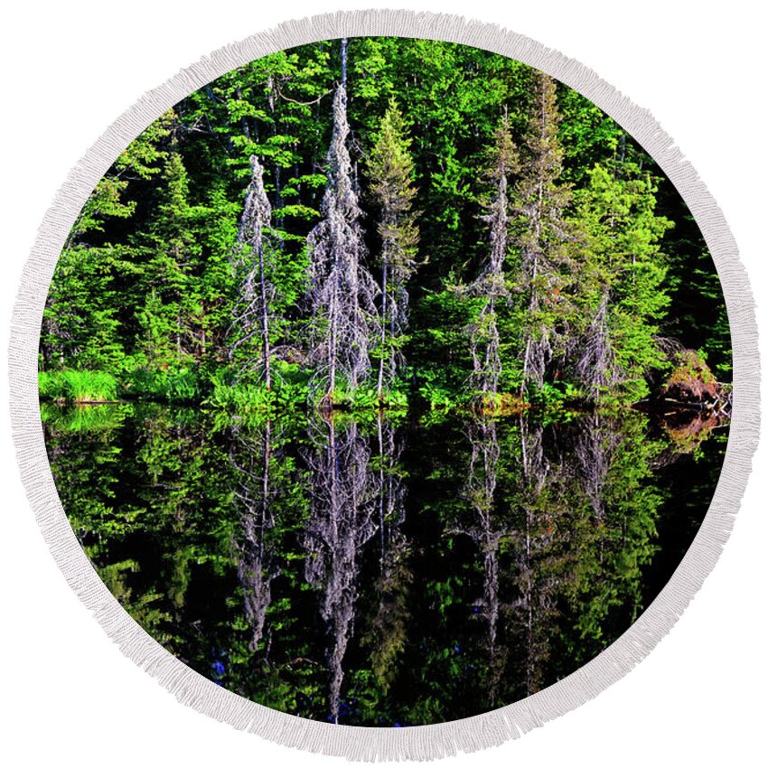 Trees Round Beach Towel featuring the photograph Bond Falls - Michigan 001 - Reflection by George Bostian