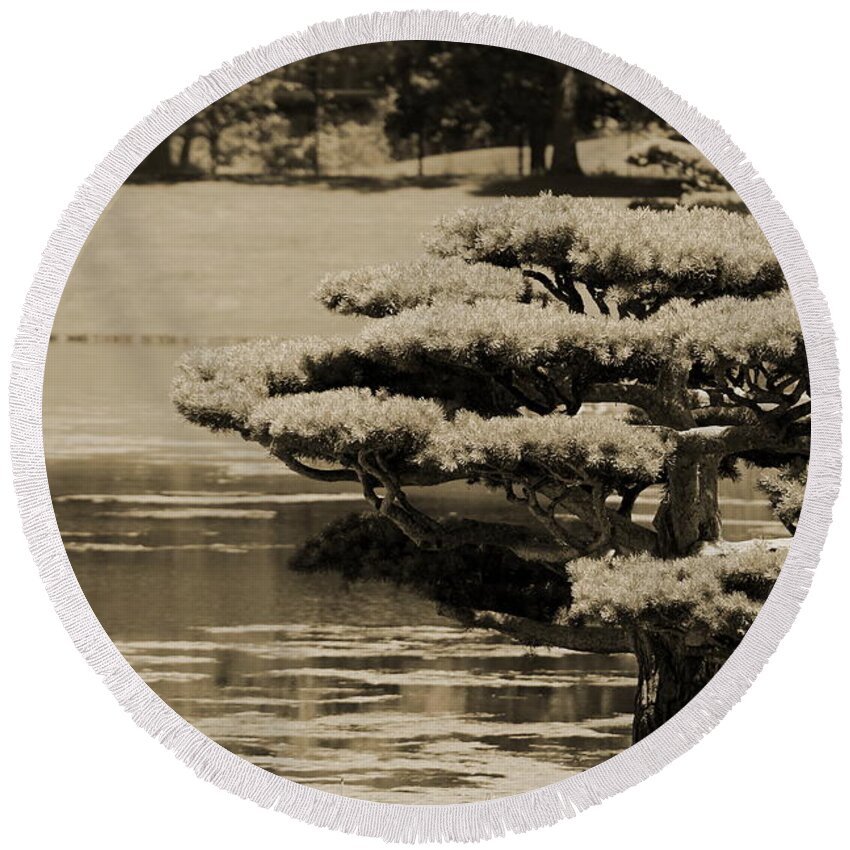 Bonsai Round Beach Towel featuring the photograph Bonsai Tree Near Pond in Sepia by Colleen Cornelius