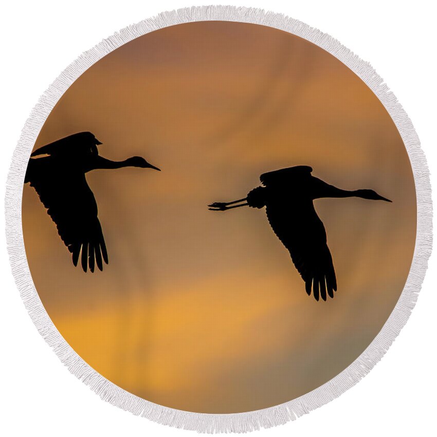 Bosque Del Apache Round Beach Towel featuring the photograph Bosque del Apache Flyover by John Greco