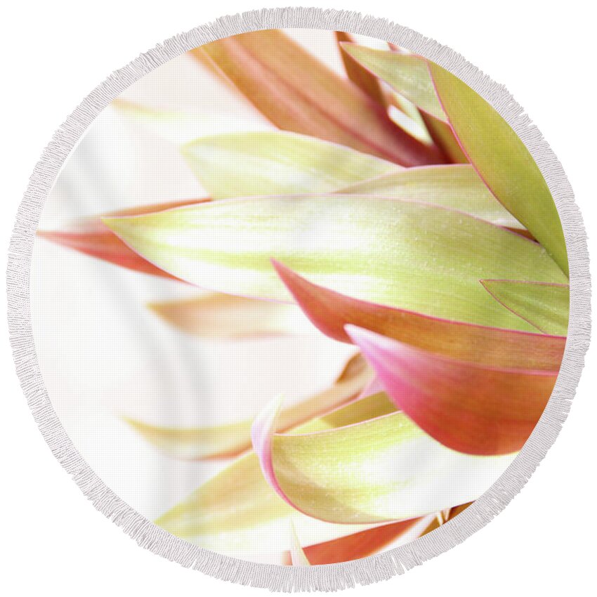 Plant Round Beach Towel featuring the photograph Botanical Dance by Becqi Sherman