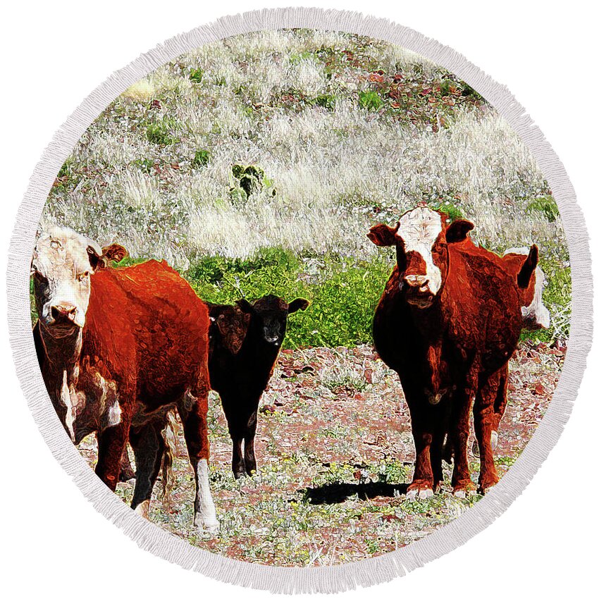 Cows Round Beach Towel featuring the photograph Bovine by Charles Benavidez