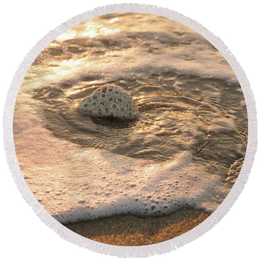 Florida Round Beach Towel featuring the photograph Brain Coral Swirl Delray Beach Florida by Lawrence S Richardson Jr