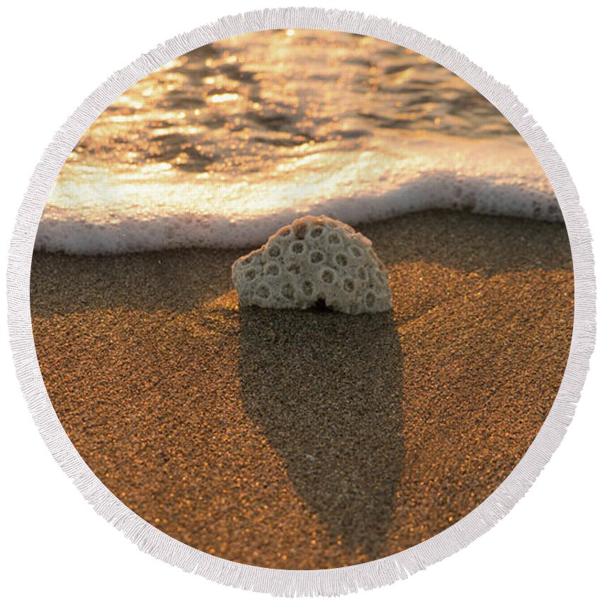 Florida Round Beach Towel featuring the photograph Brain Coral Wave by Lawrence S Richardson Jr