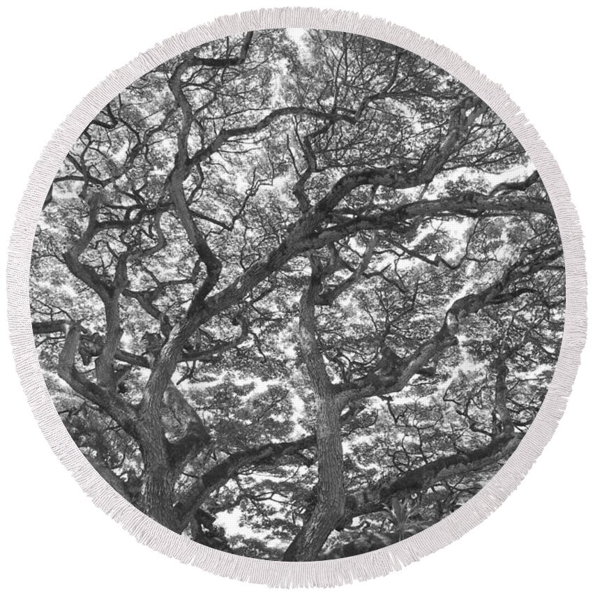 Branches Round Beach Towel featuring the photograph Branches by Jeff Cook