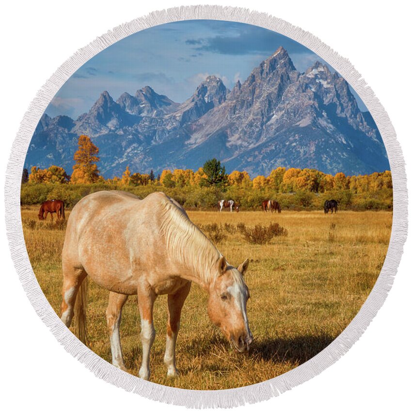 Grand Teton Round Beach Towel featuring the photograph Breakfast in the Tetons by Darren White