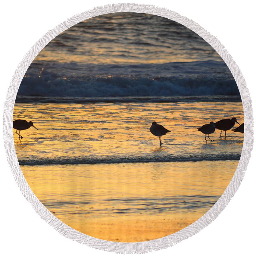 Sunrise Round Beach Towel featuring the photograph Breakfast with Friends by Barbara Ann Bell