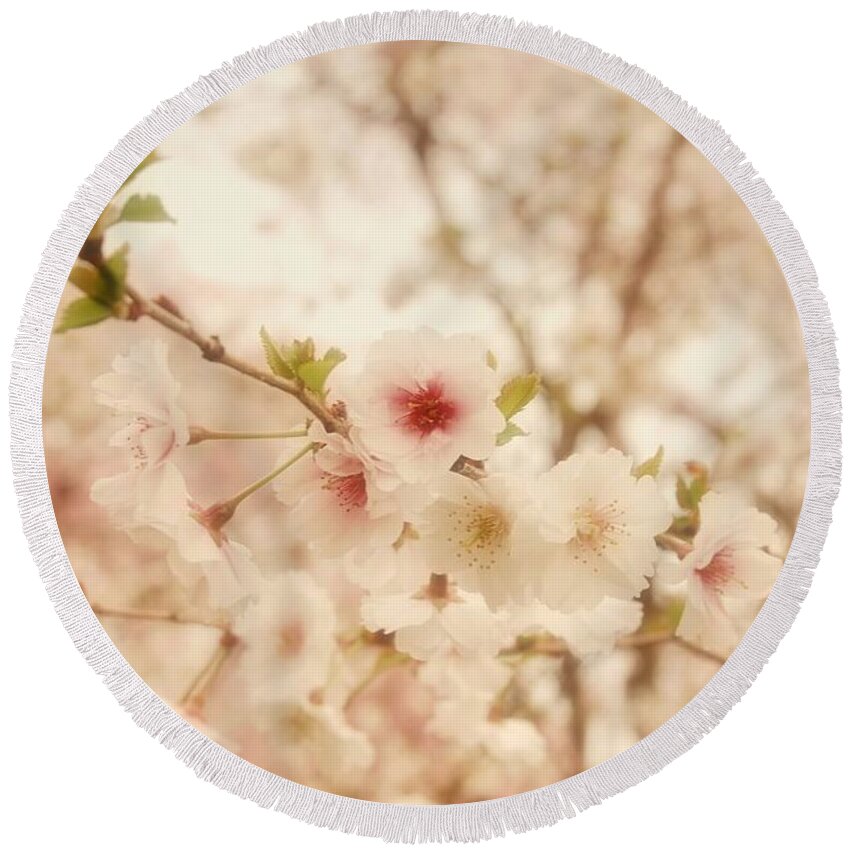 Cherry Blossom Trees Round Beach Towel featuring the photograph Breathe - Holmdel Park by Angie Tirado
