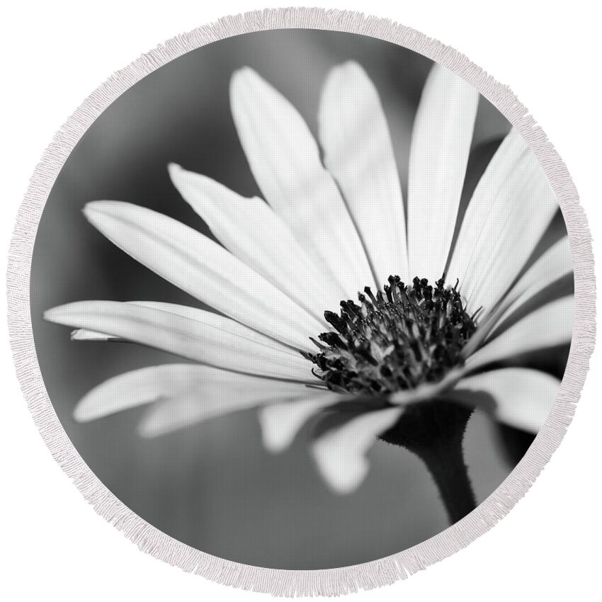 Black And White Round Beach Towel featuring the photograph Bright Petals by Mary Anne Delgado