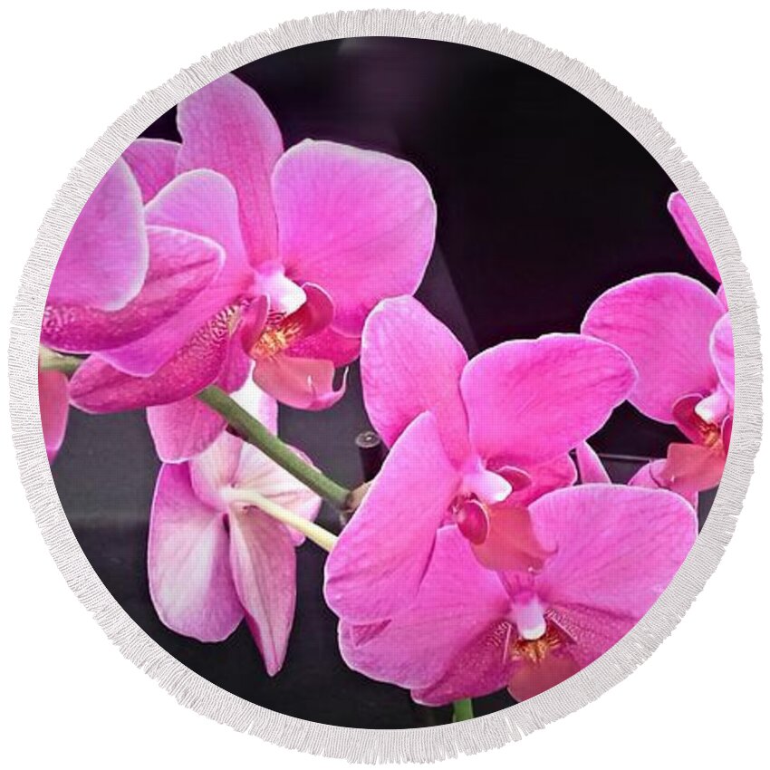 Pink Orchids Round Beach Towel featuring the photograph Bright Pink Orchids by Joan-Violet Stretch
