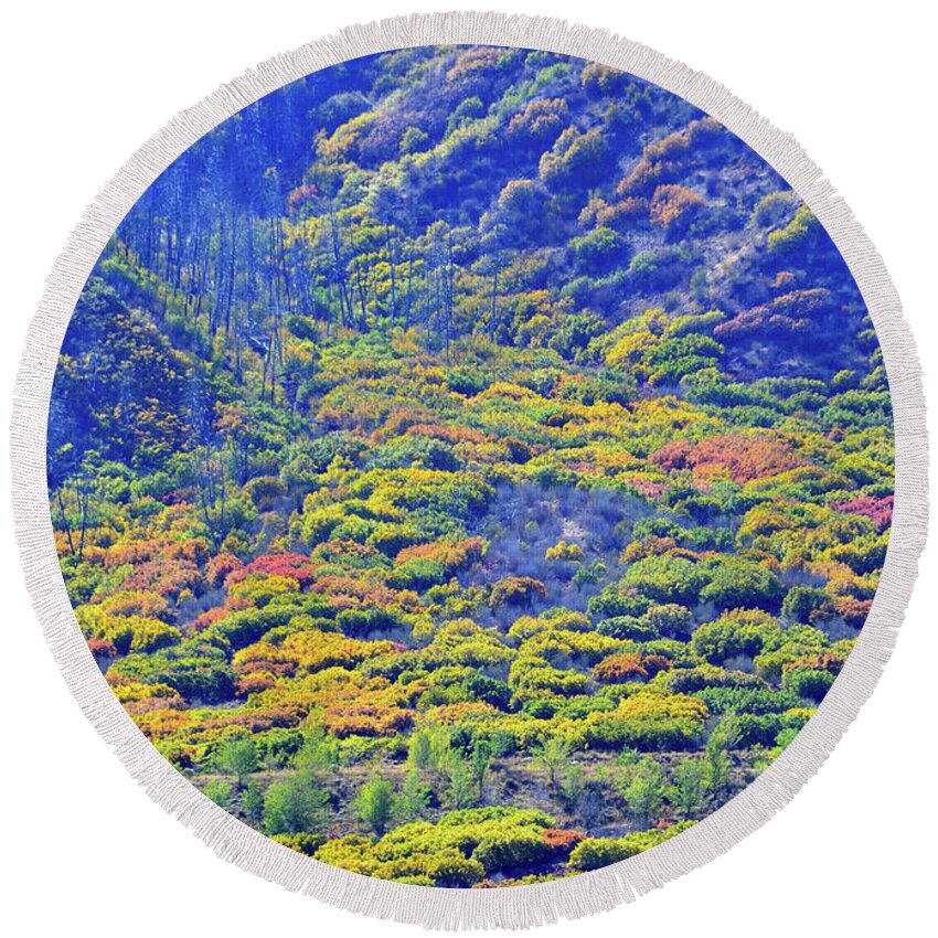 Colorado Round Beach Towel featuring the photograph Brilliant Fall Colors of Glenwood Springs by Ray Mathis