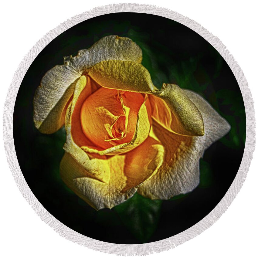 Rose Round Beach Towel featuring the photograph Brilliant Yellow by Judy Hall-Folde