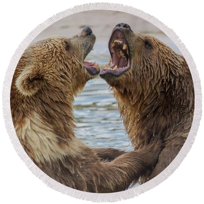 Brown Bears Round Beach Towel featuring the photograph Brown Bears4 by Larry Linton