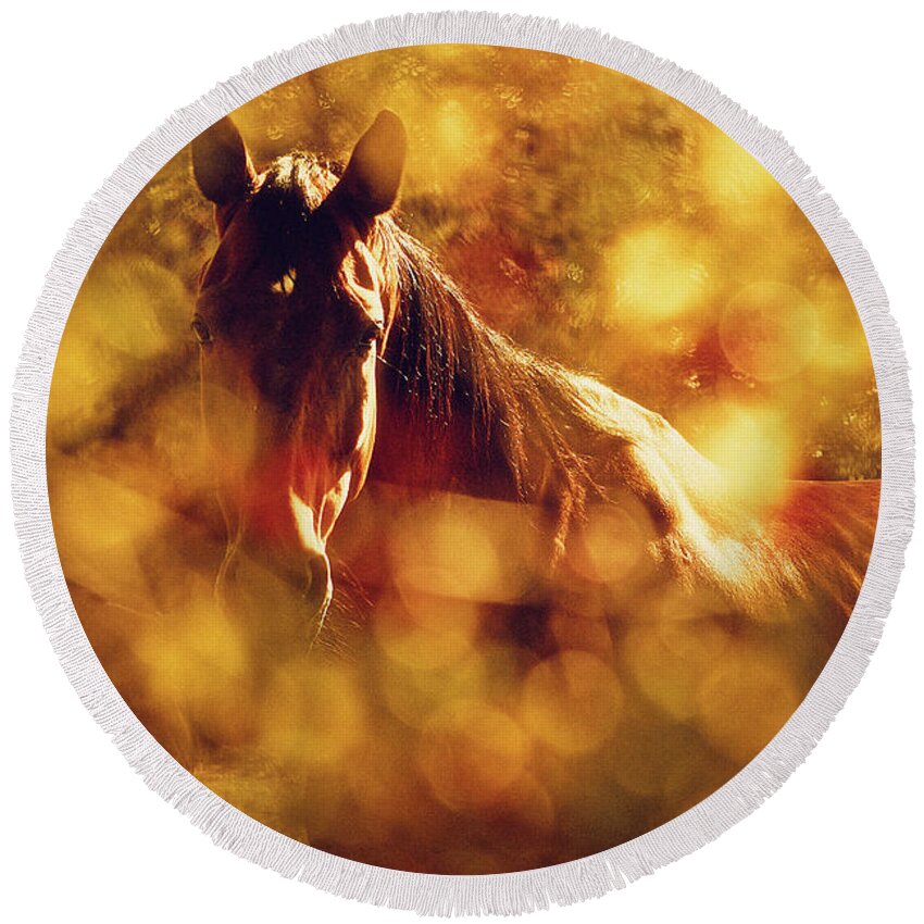 Horse Round Beach Towel featuring the photograph Brown Horse Portrait In Summer Day by Dimitar Hristov