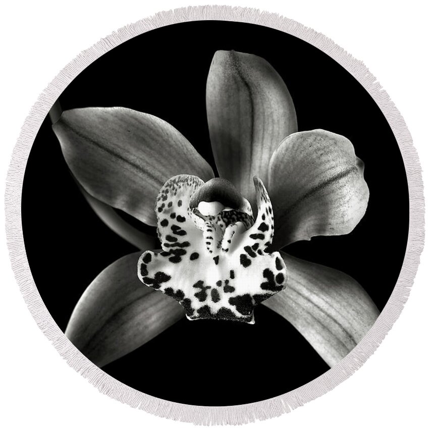 Flower Round Beach Towel featuring the photograph Brown Orchid in Black and White by Endre Balogh