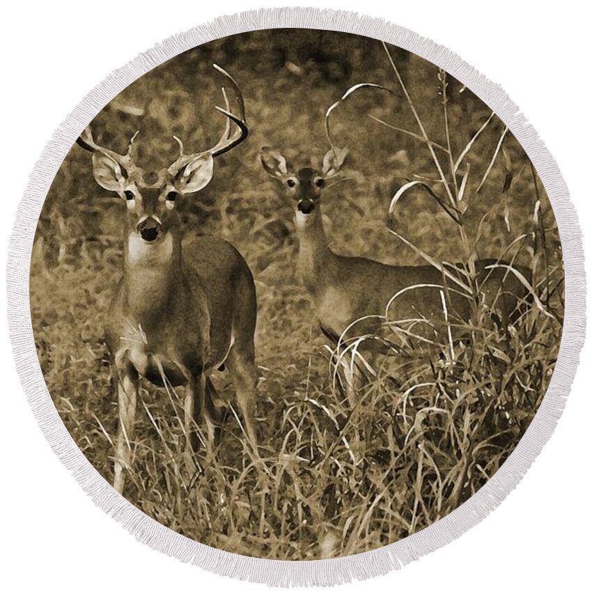 Buck And Doe In Sepia Round Beach Towel featuring the photograph Buck and Doe in Sepia by Michael Tidwell