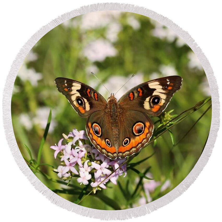 Nature Round Beach Towel featuring the photograph Buckeye Butterfly Posing by Sheila Brown