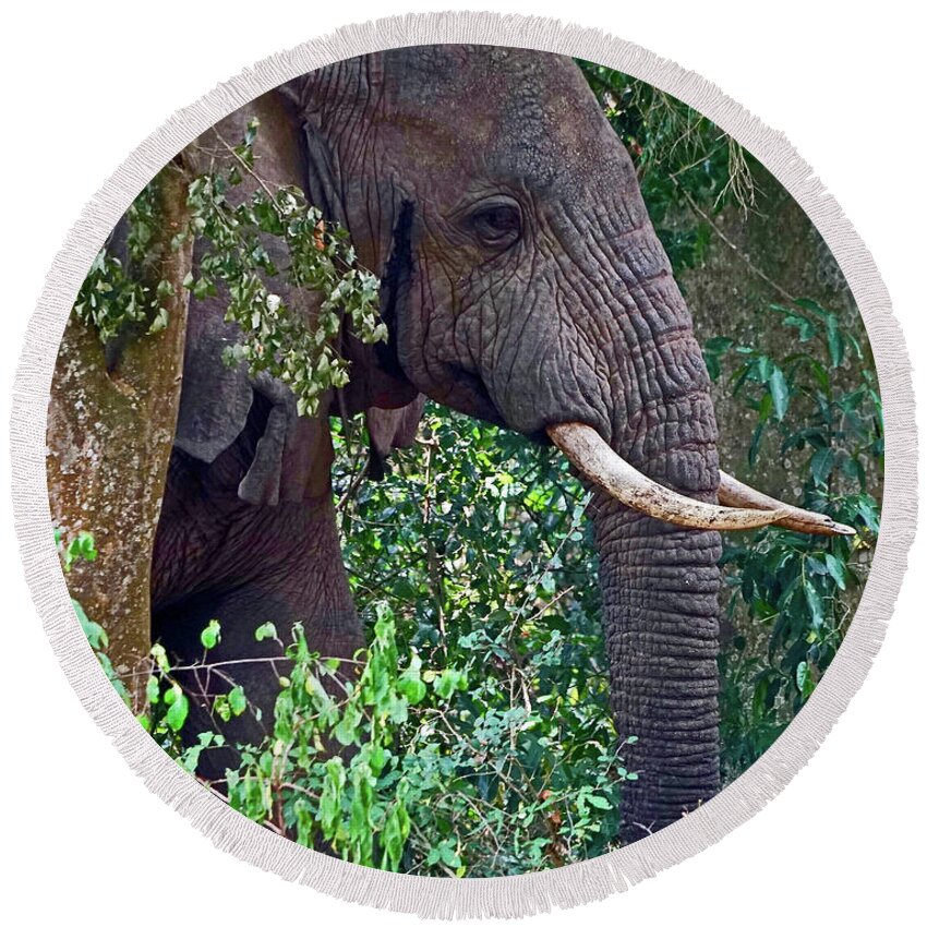 Elephant Round Beach Towel featuring the photograph Bull Elephant in the Jungle by Michael Cinnamond