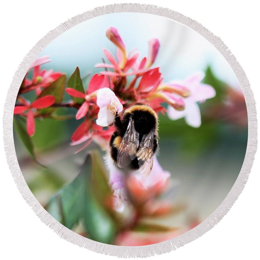 Pretty Round Beach Towel featuring the photograph Bumble Bee Love by Tracey Lee Cassin