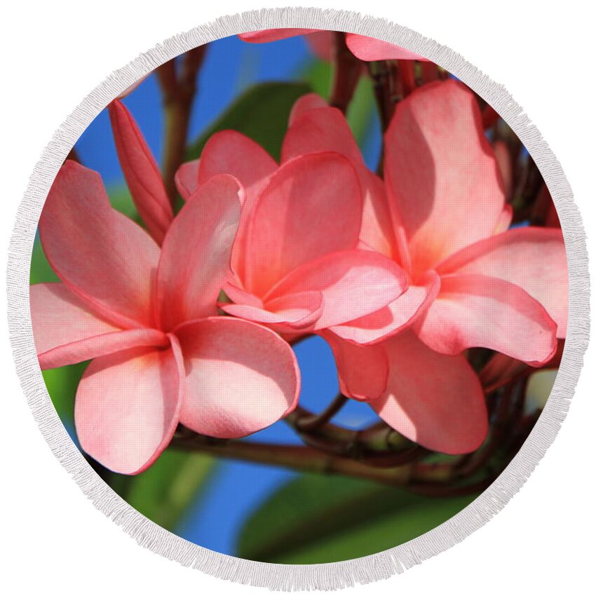 Pink Plumerias Round Beach Towel featuring the photograph Bunches of Pink Plumerias by Edward R Wisell
