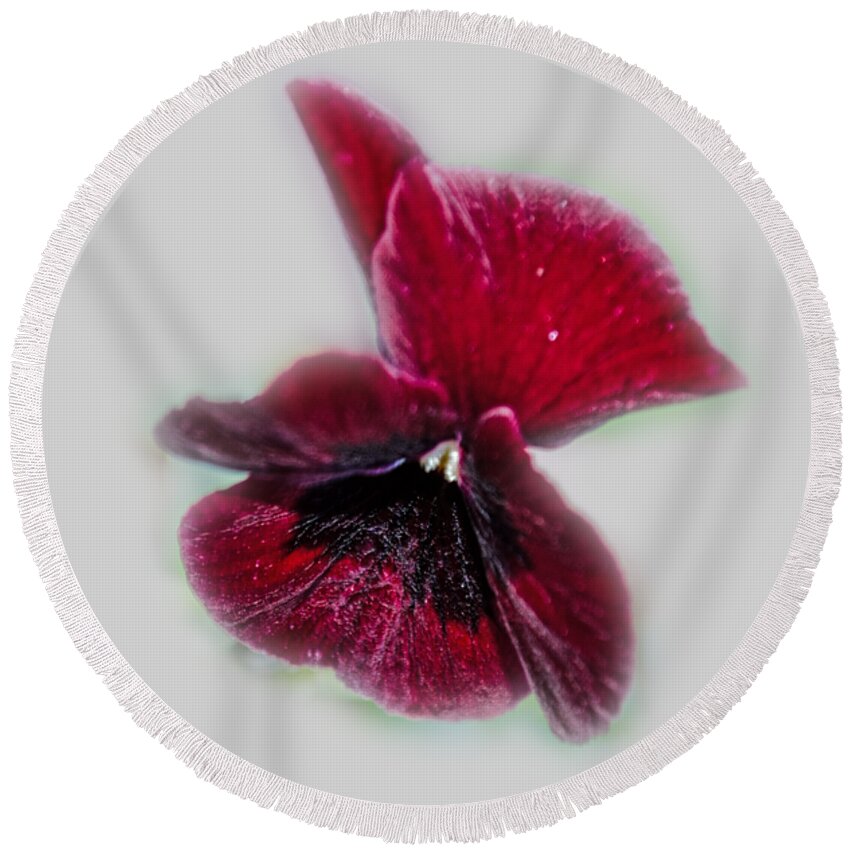 Flower Round Beach Towel featuring the photograph Burgundy Pansy Tee-shirt by Donna Brown