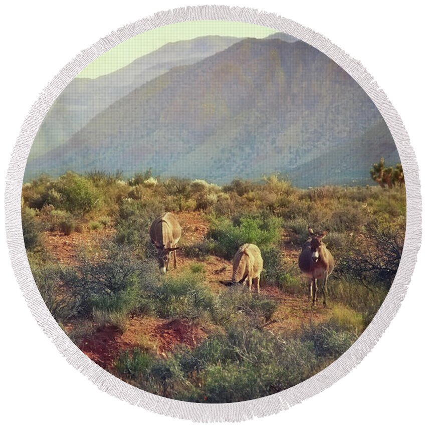 Burros Round Beach Towel featuring the photograph Burros at Bonnie Springs Ranch, Las Vegas by Tatiana Travelways